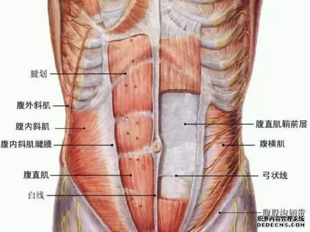 AB线是什么 怎么才能练成AB线 AB线是什么 怎么才能练成AB线