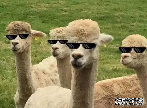 阿尔巴卡大衣怎么保养 阿尔巴卡衣物怎么清洗 阿尔巴卡大衣怎么保养 阿尔巴卡衣物怎么清洗