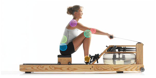 划船机减肥效果如何 划船机正确锻炼方法 划船机减肥效果如何 划船机正确锻炼方法